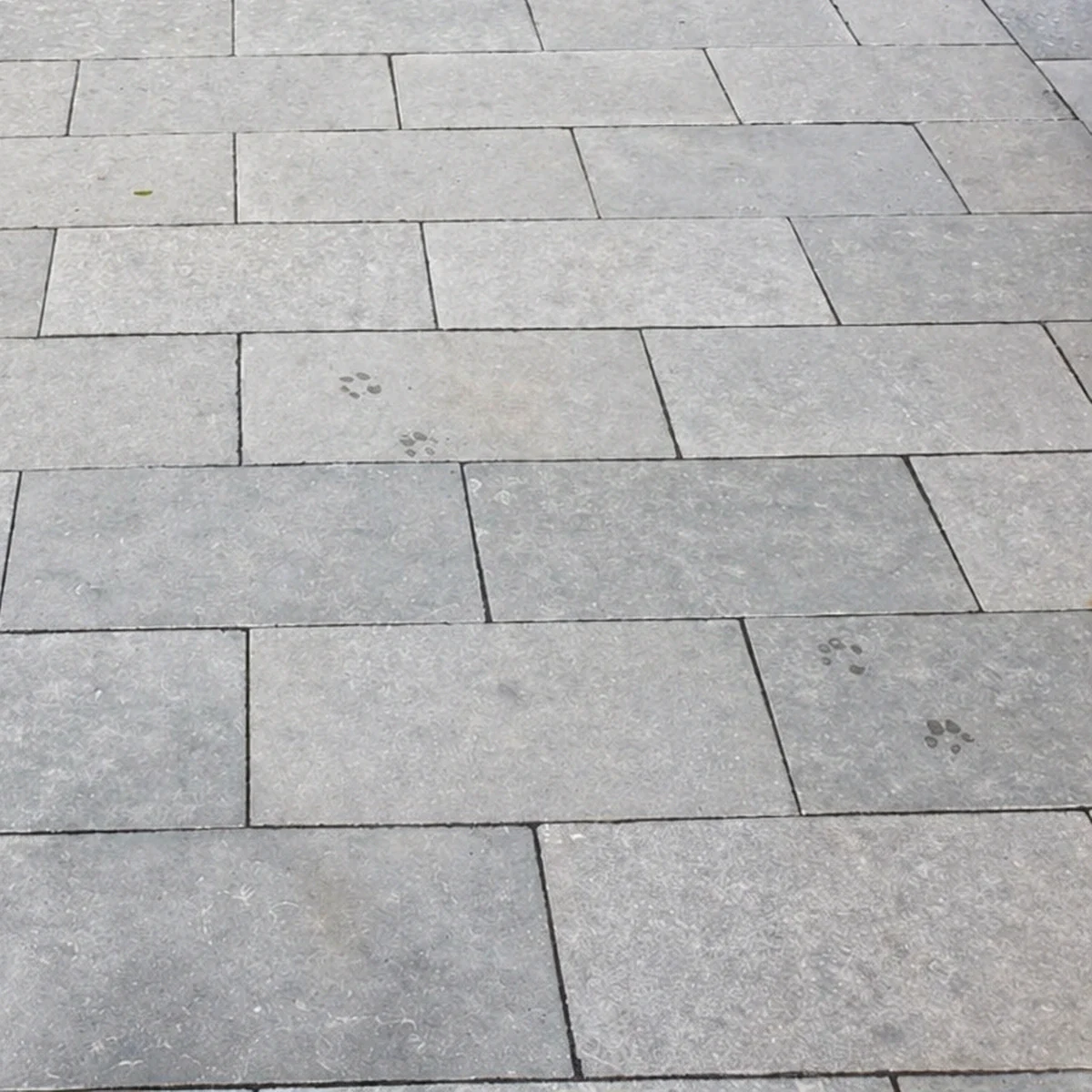 Tandur Grey Limestone Paving Tumbled 900x600 22mm Cal. From £25.89/m2 - Image 3